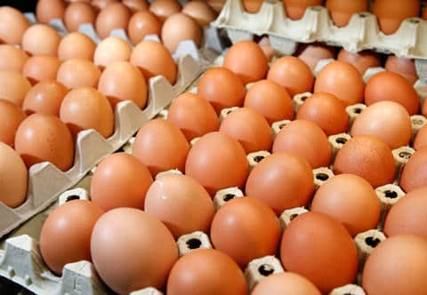 Chicken Eggs - Fresh White & Brown Eggs