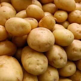 Potatoes