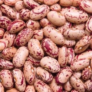 Sugar Beans