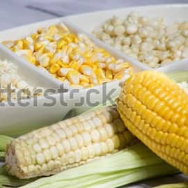White & Yellow Corn (Maize)